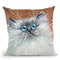 Copper Kitten Throw Pillow By Kim Haskins