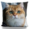 Little Maplekins Face Throw Pillow