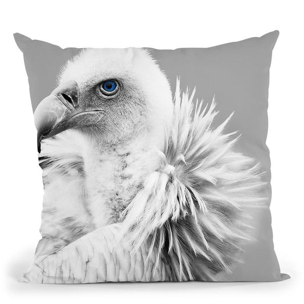 Vulture Bw Throw Pillow By Little Pitti