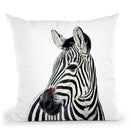Zebra Bw Throw Pillow By Little Pitti