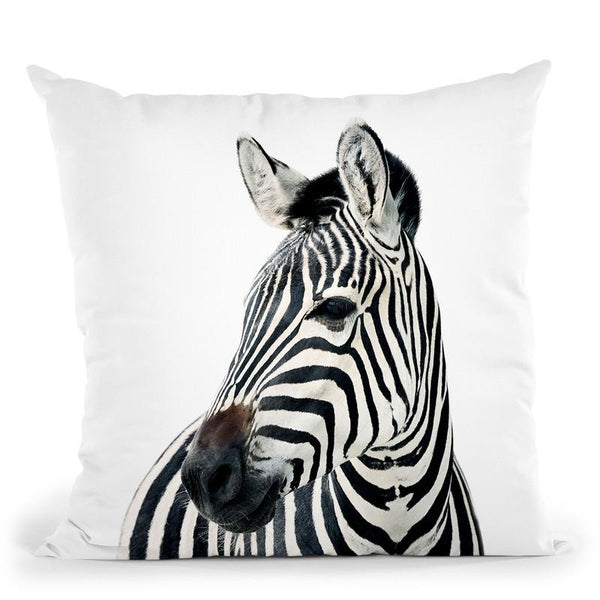 Zebra Bw Throw Pillow By Little Pitti