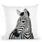 Zebra Bw Throw Pillow By Little Pitti