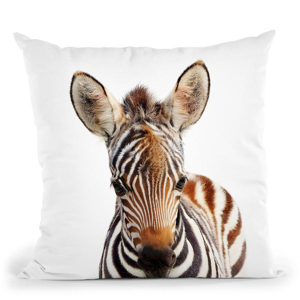 Baby Zebra Lp Throw Pillow By Little Pitti