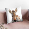 Baby Zebra Lp Throw Pillow By Little Pitti