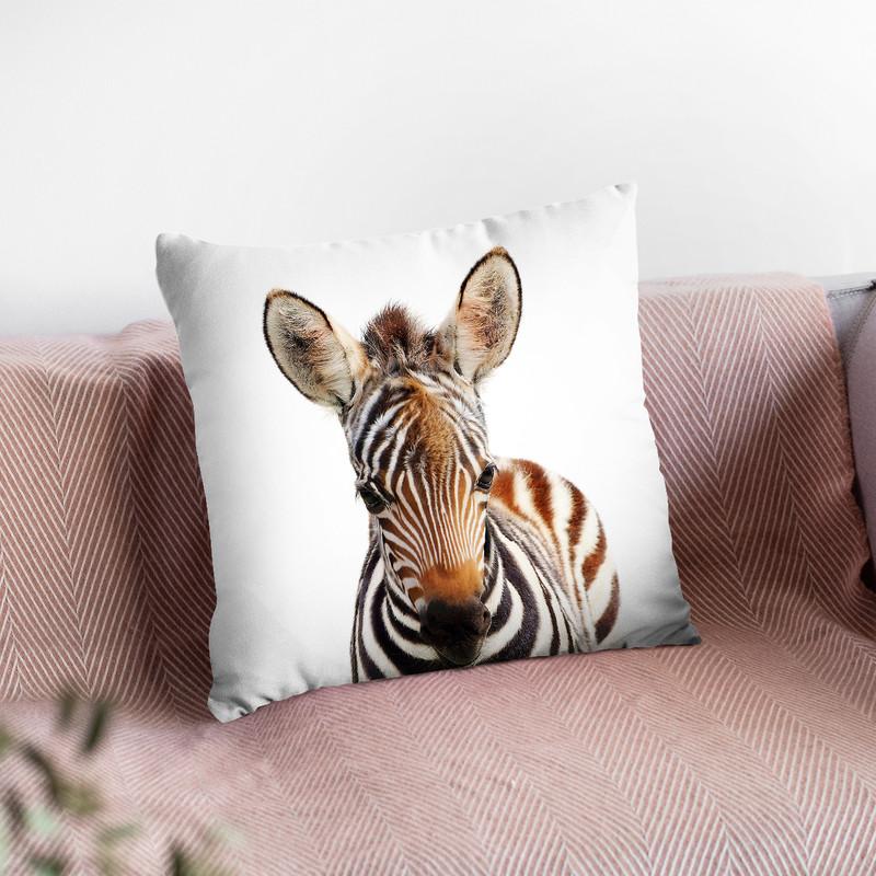 Baby Zebra Lp Throw Pillow By Little Pitti