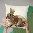 Rabbit Throw Pillow By Little Pitti