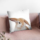 Banny Throw Pillow By Little Pitti