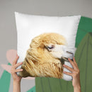 Camel Throw Pillow By Little Pitti