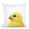 Chick Throw Pillow By Little Pitti