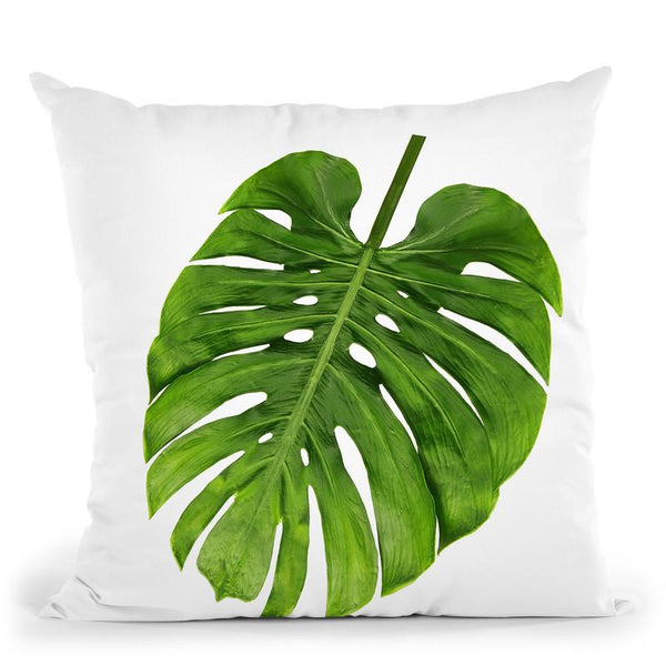 Monstera Throw Pillow By Little Pitti