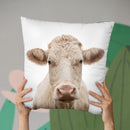 Cow Throw Pillow By Little Pitti