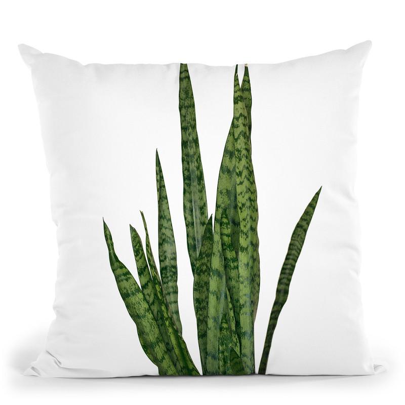 Plants7 Throw Pillow By Little Pitti