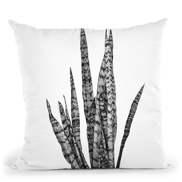 Plants8 Throw Pillow By Little Pitti
