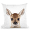 Baby Deer Throw Pillow By Little Pitti