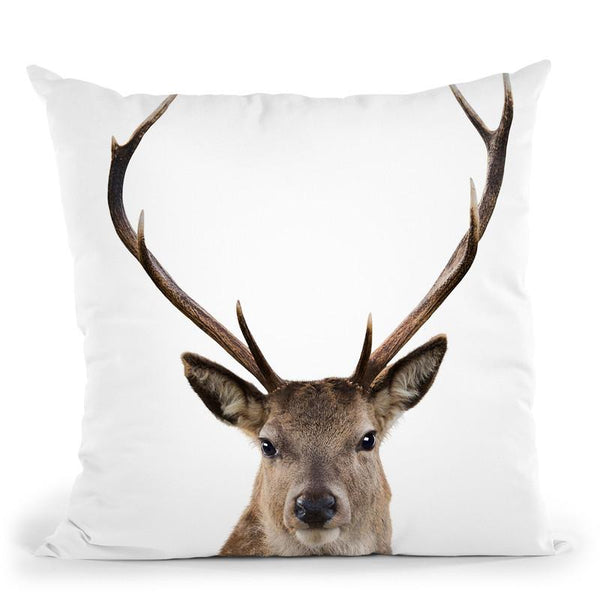 Deer L P Throw Pillow By Little Pitti