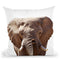 Elephant Lp Throw Pillow By Little Pitti