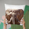 Elephant Lp Throw Pillow By Little Pitti