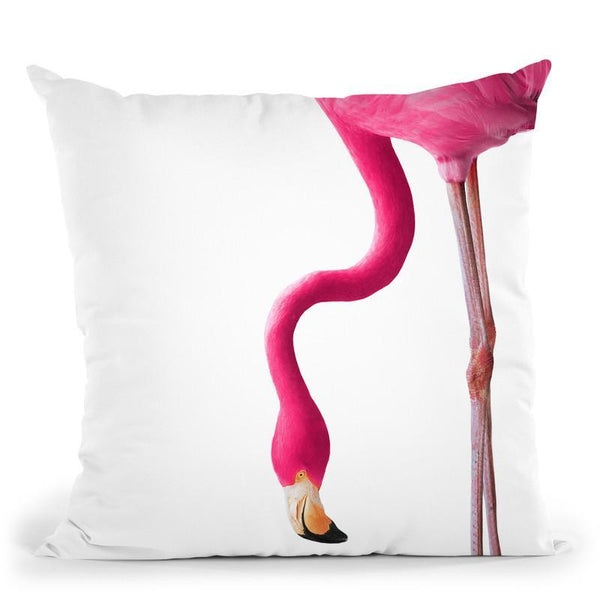 Flamingo2 Throw Pillow By Little Pitti