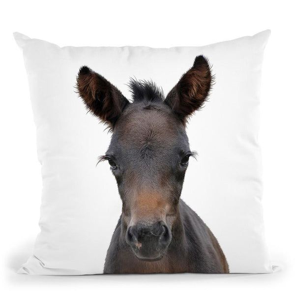 Foal Throw Pillow By Little Pitti