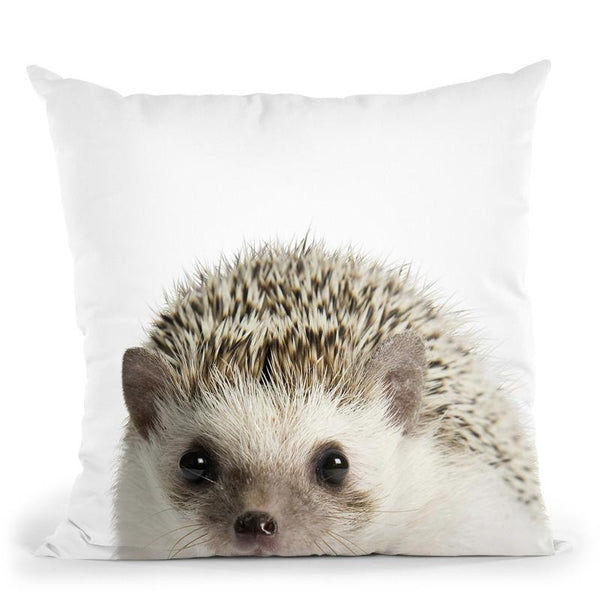 Hedgehog Lp Throw Pillow By Little Pitti