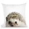 Hedgehog Lp Throw Pillow By Little Pitti