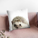 Hedgehog Lp Throw Pillow By Little Pitti