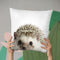 Hedgehog Lp Throw Pillow By Little Pitti
