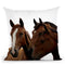 Horse1 Throw Pillow By Little Pitti