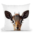 Baby Deer2 Throw Pillow By Little Pitti
