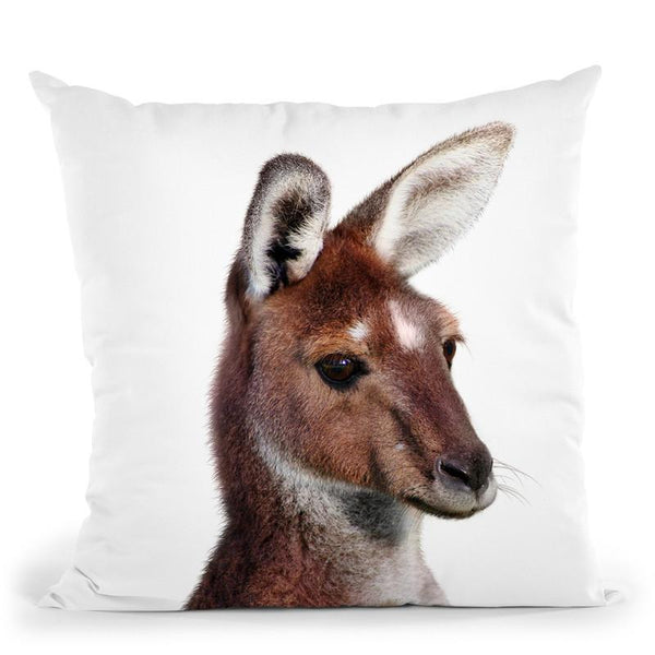 Kangaroo Throw Pillow By Little Pitti