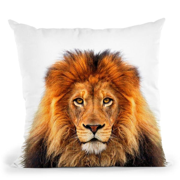 Lion L P Throw Pillow By Little Pitti