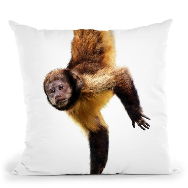 Monkey Throw Pillow By Little Pitti
