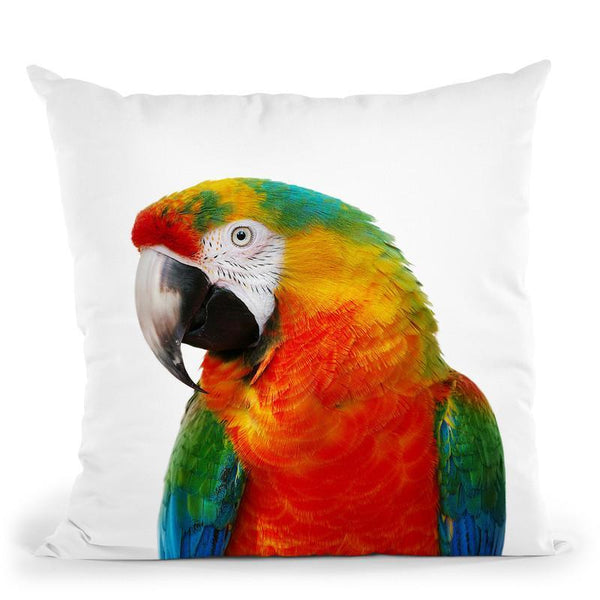 Parrot1 Throw Pillow By Little Pitti