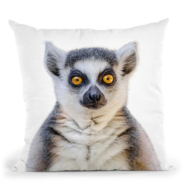 Lemur Throw Pillow By Little Pitti