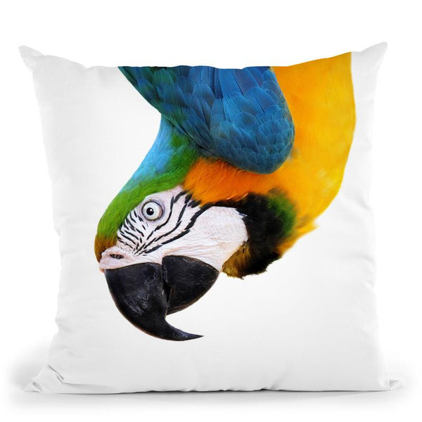 Parrot2 Throw Pillow By Little Pitti