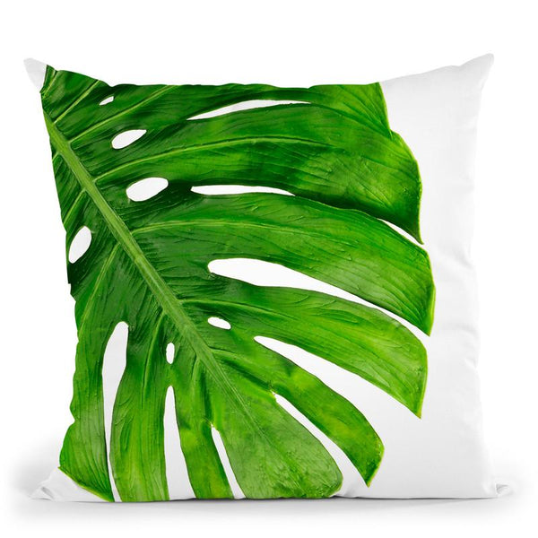Monstera Ii Throw Pillow By Little Pitti