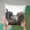 Baby Elephant Throw Pillow By Little Pitti