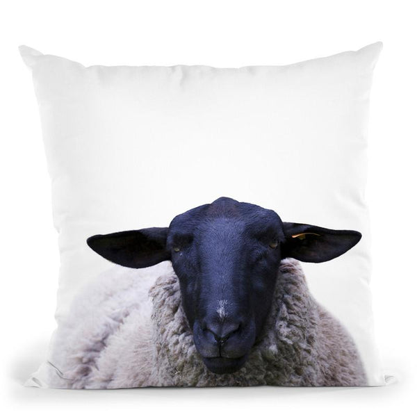 Sheep Throw Pillow By Little Pitti