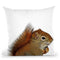 Squirrel Throw Pillow By Little Pitti
