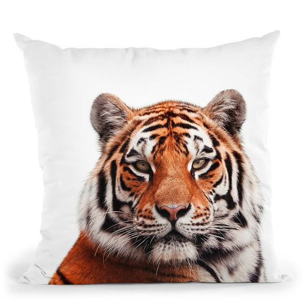 Tiger Lp Throw Pillow By Little Pitti