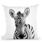 Baby Zebra Bw Throw Pillow By Little Pitti