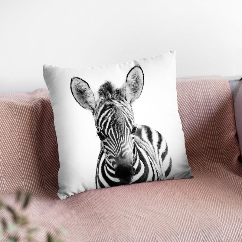 Baby Zebra Bw Throw Pillow By Little Pitti
