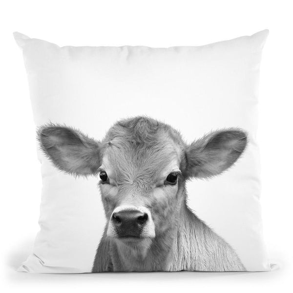 Calf Bw Throw Pillow By Little Pitti