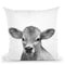 Calf Bw Throw Pillow By Little Pitti