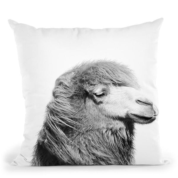Camel Bw Throw Pillow By Little Pitti