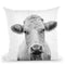 Cow Bw Throw Pillow By Little Pitti