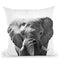 Elephant Bw Throw Pillow By Little Pitti