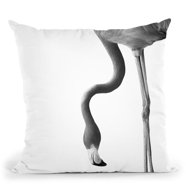 Flamingo2 Bw Throw Pillow By Little Pitti