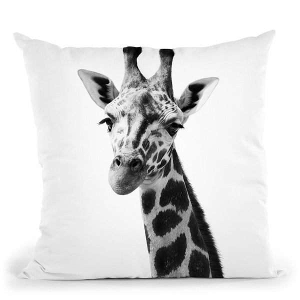 Giraffe Bw Throw Pillow By Little Pitti