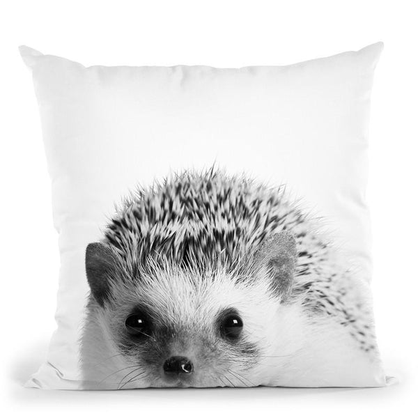 Hedgehog Bw Throw Pillow By Little Pitti